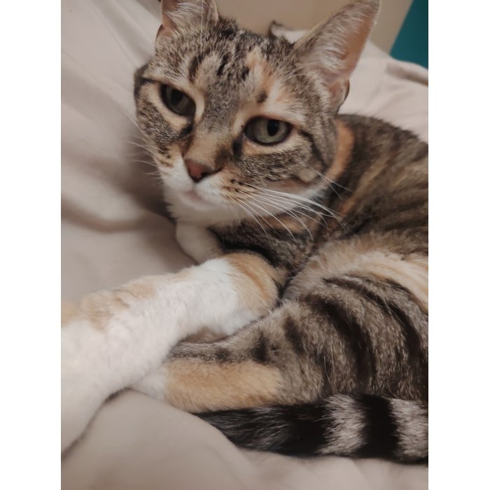 Henriette