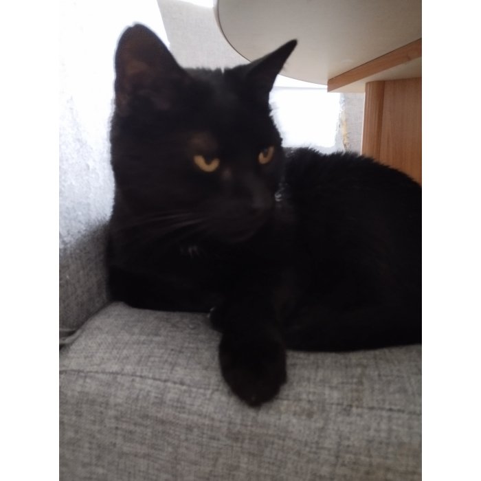 Lilou
