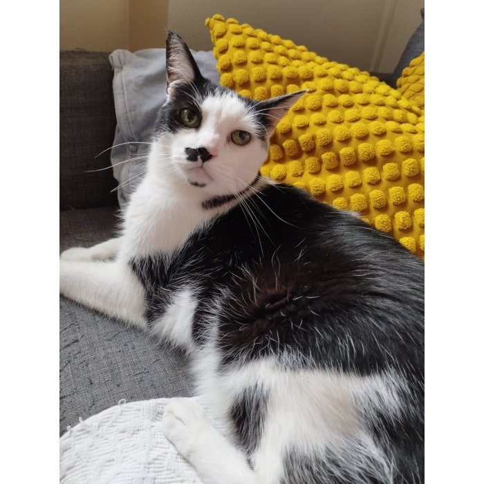 Max