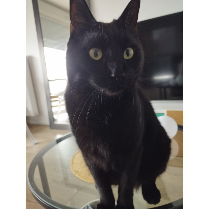 Sirius