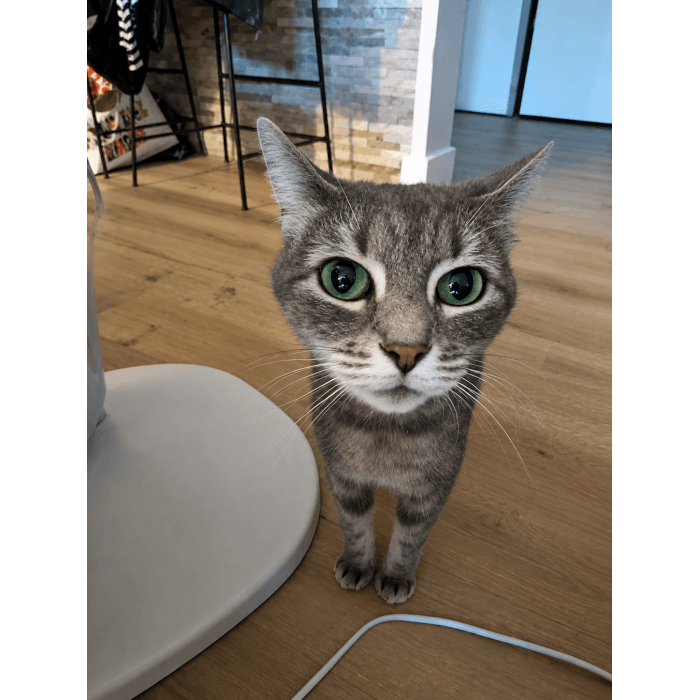 Zoé